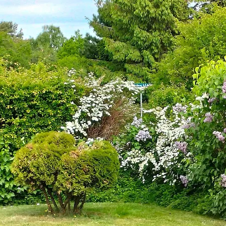Lovely Near Sandy Vig